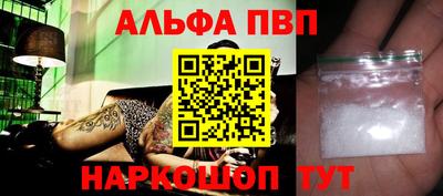 молекула духа Кингисепп