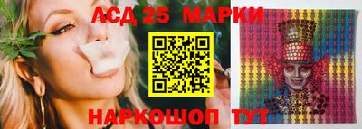 гашик Камышлов