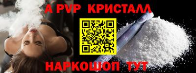 гашик Камышлов