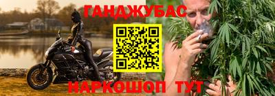 гашик Камышлов