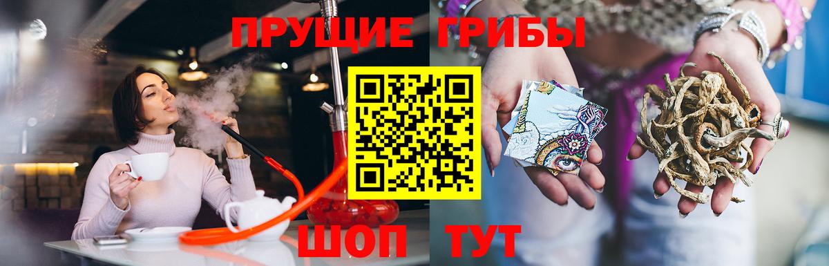 Псилоцибиновые грибы Magic Shrooms Краснознаменск